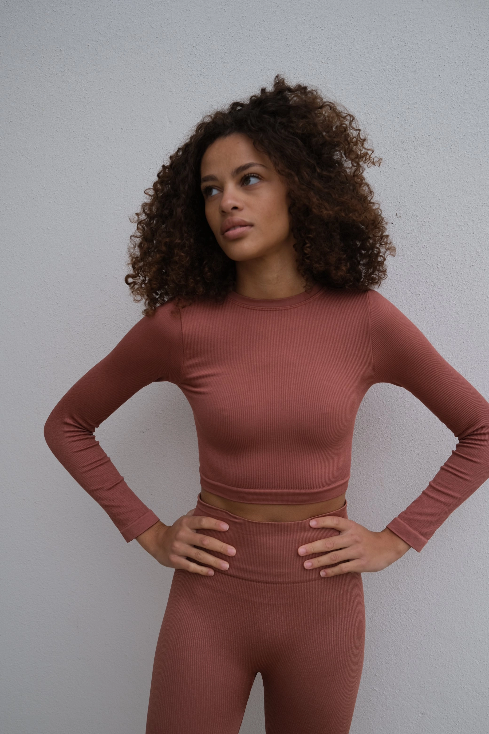 EVOKE Ribbed Long-Sleeve Crop Top | Rusty Pink