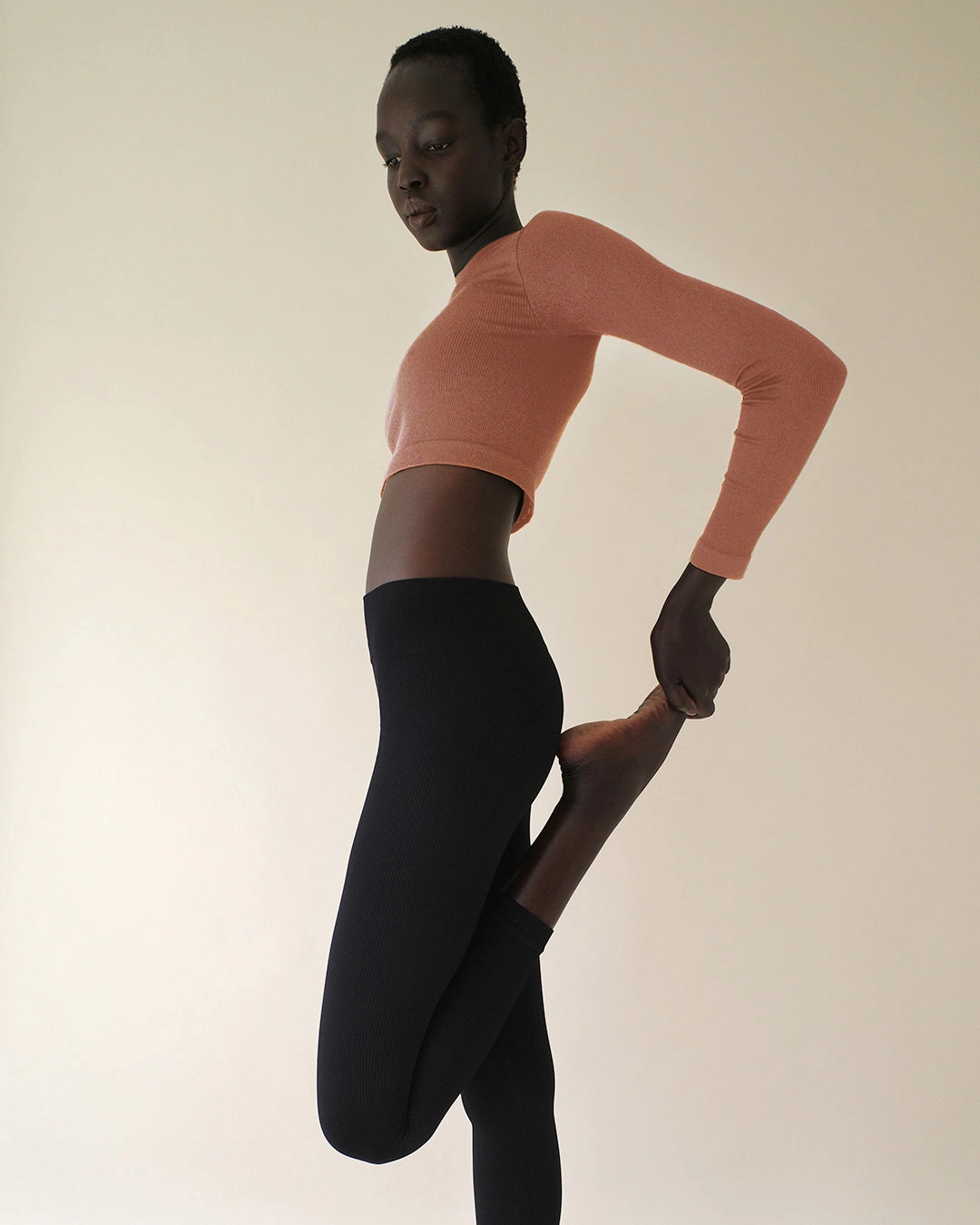 EVOKE Ribbed Long-Sleeve Crop Top | Rusty Pink