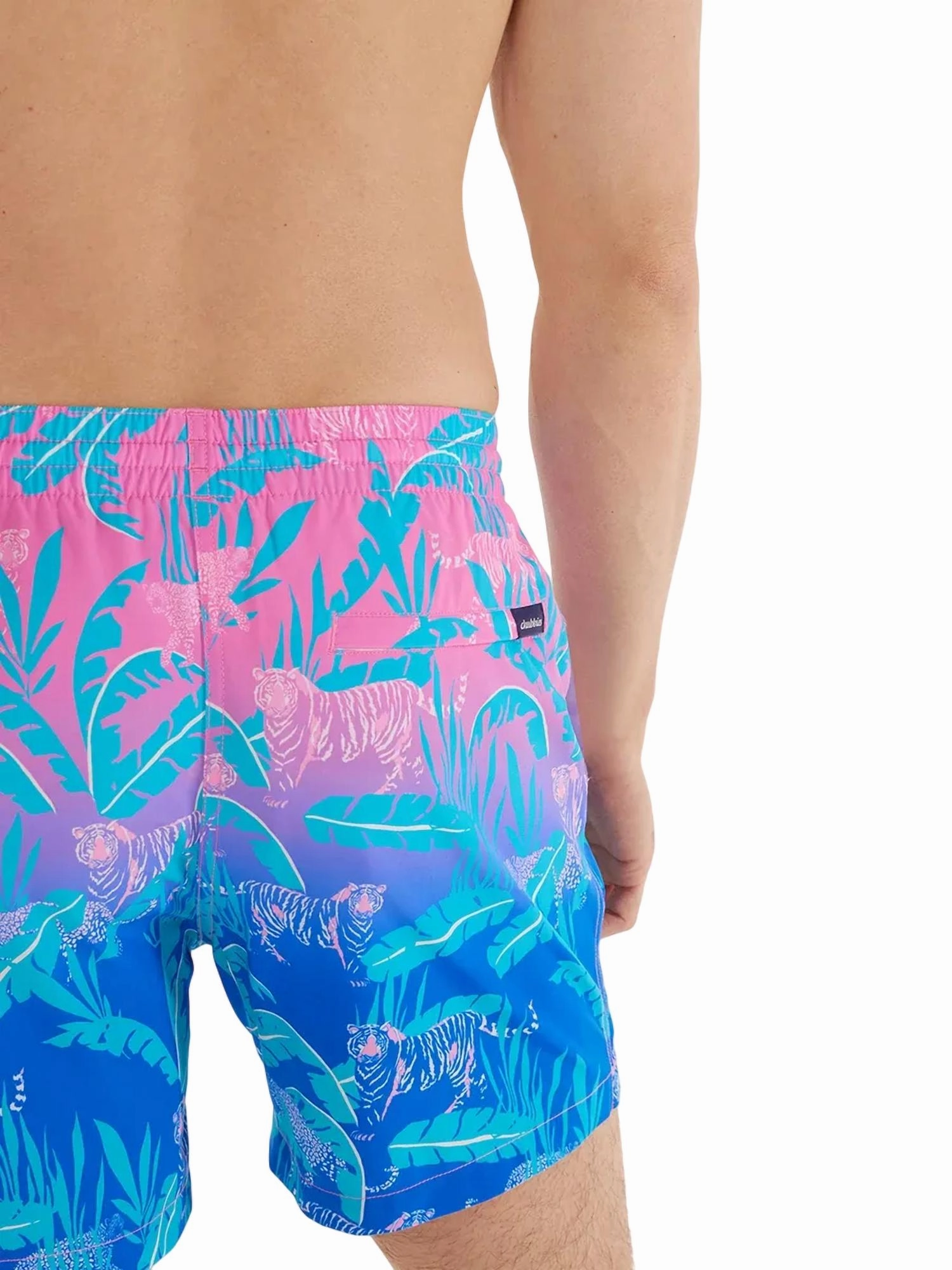 Hydrofoils Swim Trunk In Pink/blue Jungle