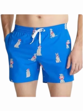 I Let The Dogs Out Swim Trunks In Blue