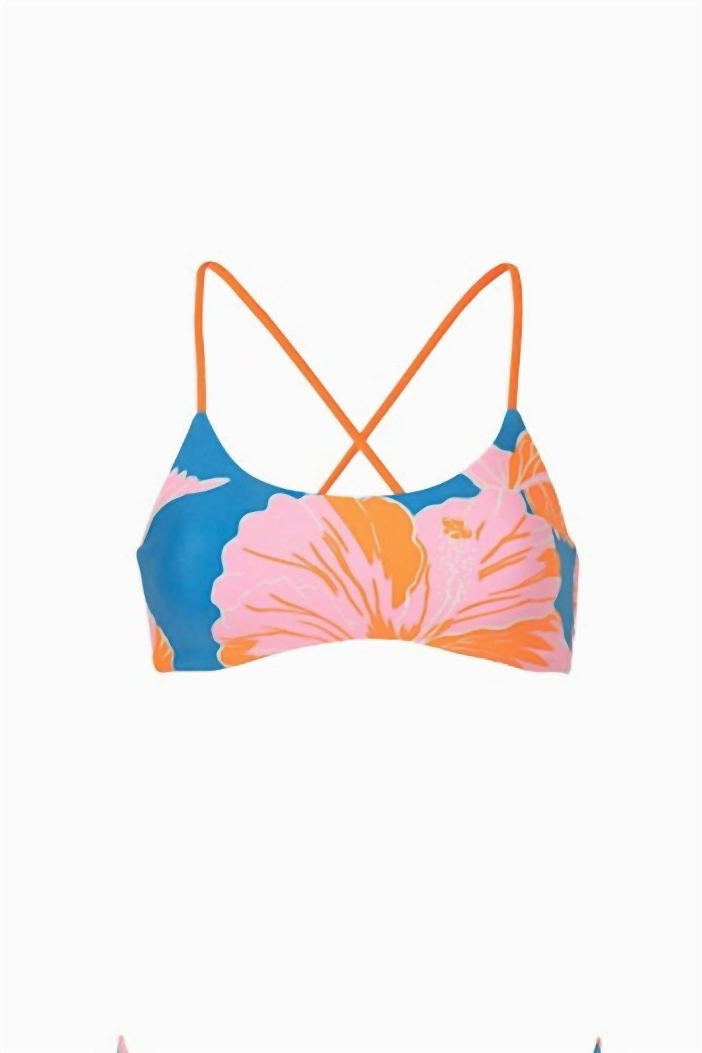Magnolia Mirage Vienna Bikini Top In Bright Blue