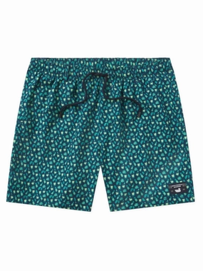 Men's Harbor Salt & Lime Swim Trunk In Navy & Mint Limes
