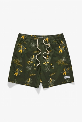 Men's Neighbour Elastics Boardshort In Green