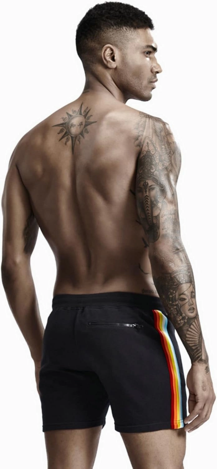 Men's Pride Rainbow Stripe Swim Trunks Quick Dry Beach Shorts with Pockets