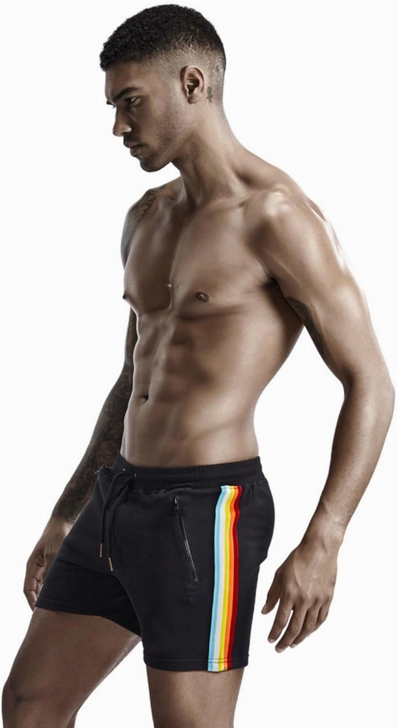 Men's Pride Rainbow Stripe Swim Trunks Quick Dry Beach Shorts with Pockets