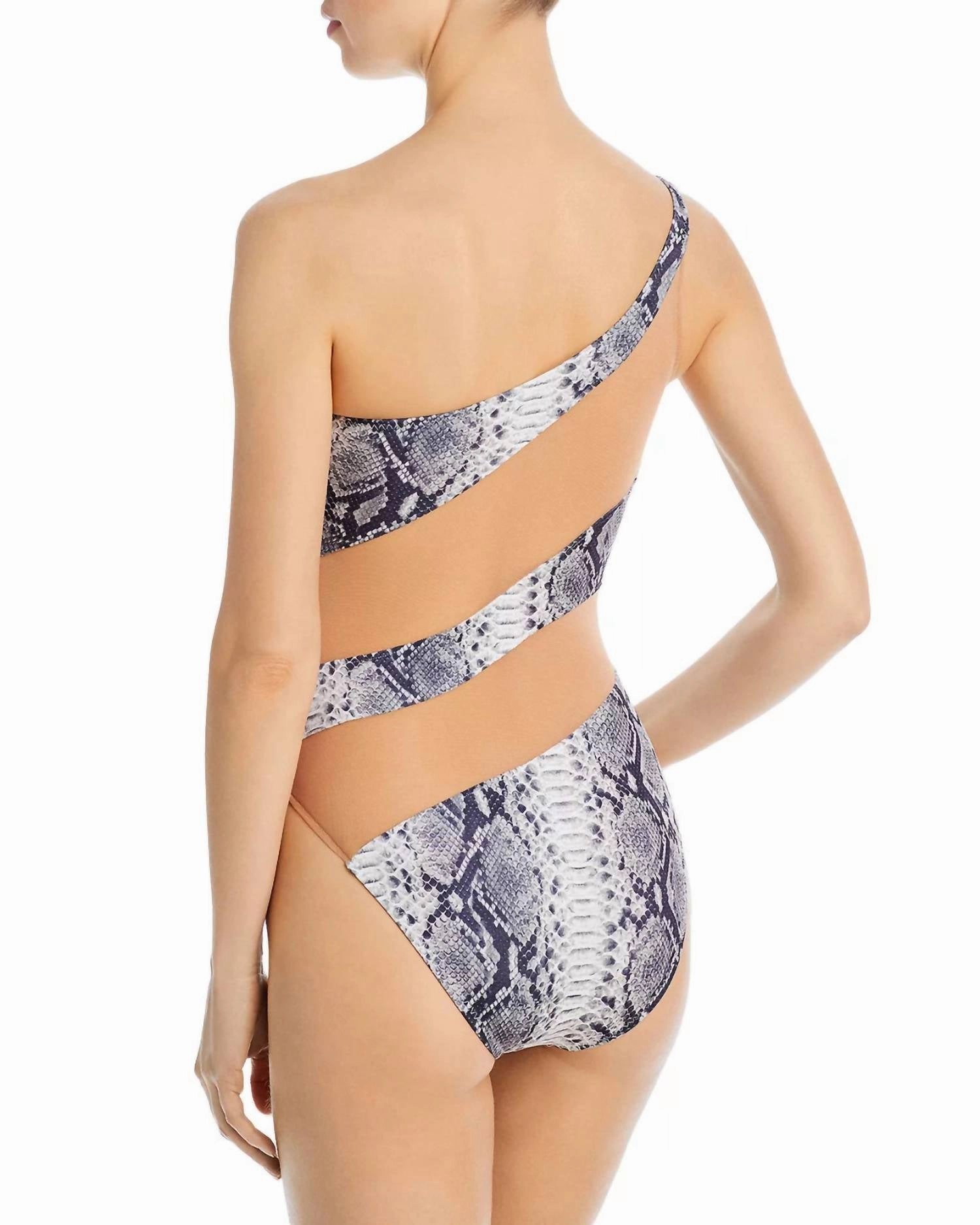 Mesh One Piece In Snake Print